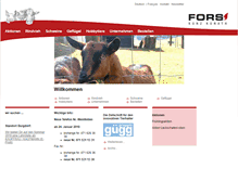 Tablet Screenshot of fors-futter.ch